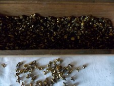 Schuhhaken,high Quality